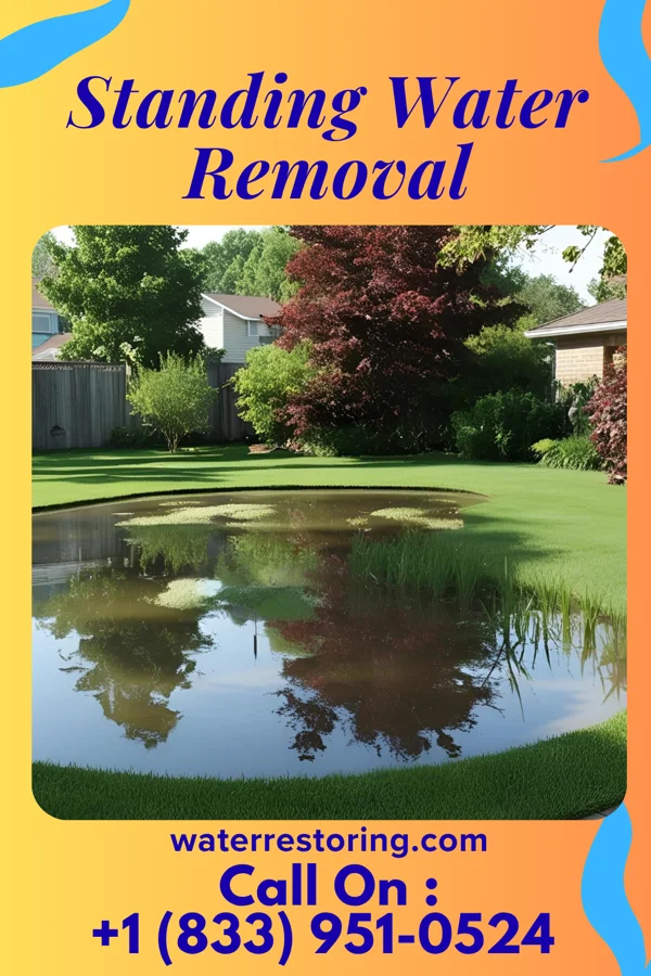 Standing Water Removal in Oak Grove Village, MO